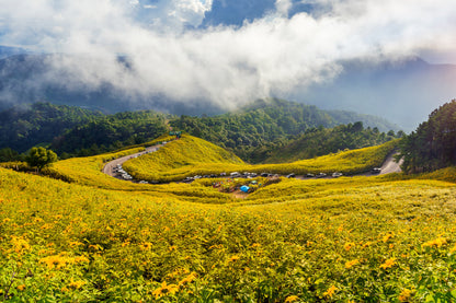 Landscapes