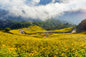 Landscapes