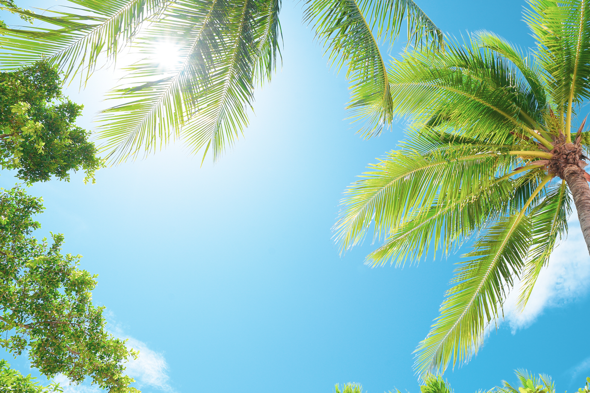 Summer