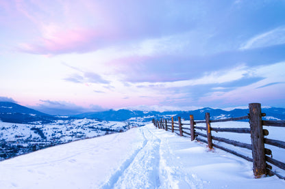 Winter
